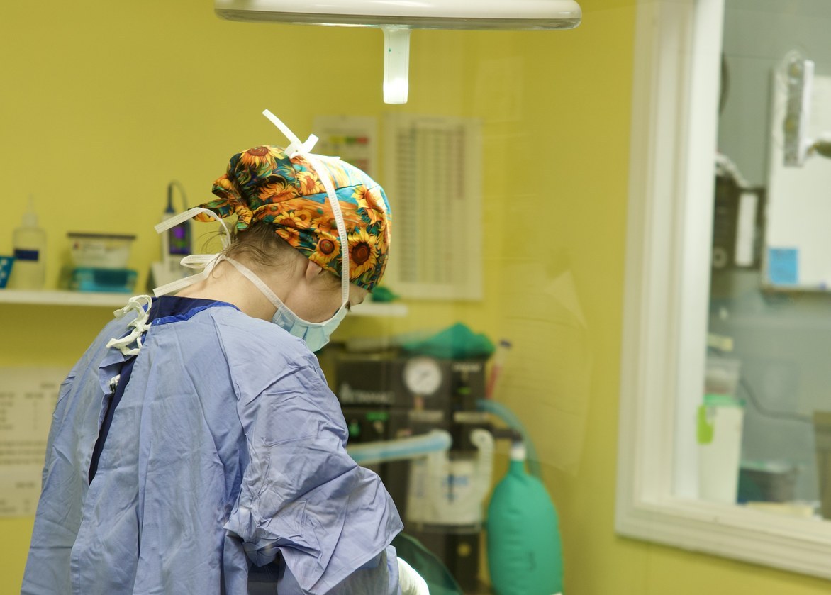 A veterinarian in a surgical gown and floral cap working in the surgery suite